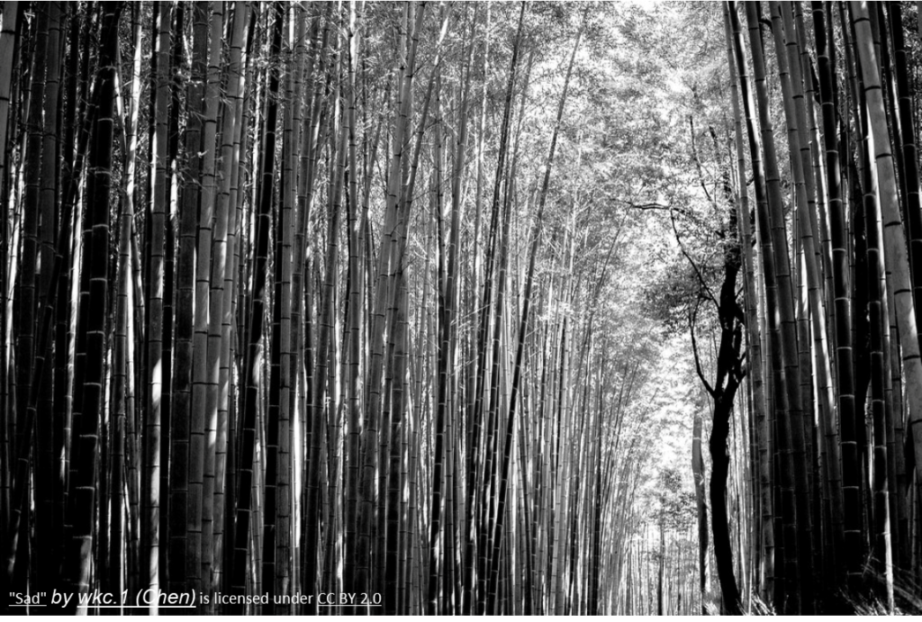 bamboo forest w credit - Trinity Church